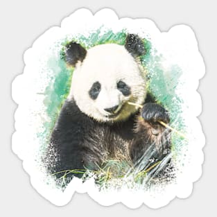 Panda Bear Animal Wildlife Jungle Nature Freedom Watercolor Sticker